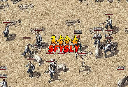 2016����©��